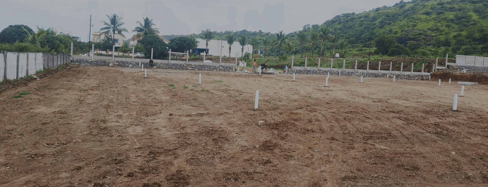 R zone Plots at Nere